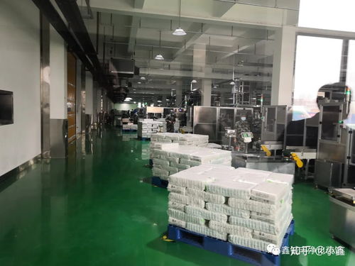 食品加工厂洁净车间 厂房生产车间装修施工方案及网络工程实施注意事项